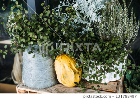 Autumn florist shop display with potted heather, silver Dusty Miller, trailing greenery, and a yellow gourd on a wooden crate. Fall decor, botanical textures, rustic floral styling, seasonal retail Autumn florist shop display with potted heather, silver Dusty Miller, trailing greenery, and a yellow gourd on a wooden crate. Fall decor, botanical textures, rustic floral styling, seasonal retail 131788497