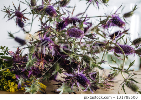 Freshly foraged Echinops ritro thistle with spiky green leaves and spherical violet flower heads on a rustic surface. Wildcraft floristry, native plants, seasonal foraging, sustainable design 131788500