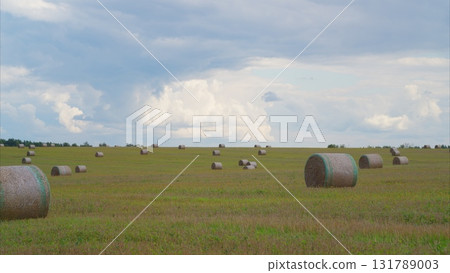 Beautifully Scenic Hay Bales Positioned in a Wide Open Field Beneath a Dramatic Cloudy Sky 131789003
