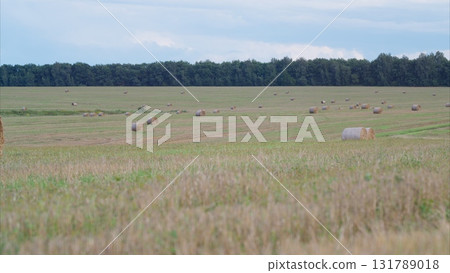 A Beautiful Scenic Agricultural Landscape Featuring Bales of Hay in the Countryside 131789018