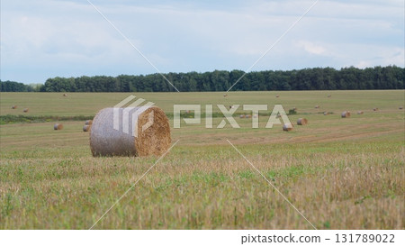 A picturesque rural field featuring hay bales set against a lush green landscape and vibrant scenery A picturesque rural field featuring hay bales set against a lush green landscape and vibrant scenery 131789022