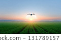 Agricultural drone with modern technology flying over green farm field, spraying crops at sunrise. peaceful and innovative view of future farming and cultivation 131789157