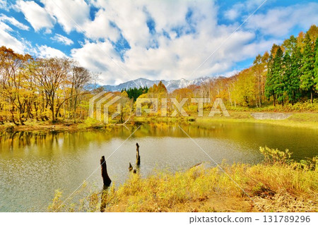 Autumn leaves at Tenike Pond in Akiyamago, Sakae Village, Nagano Prefecture Autumn leaves at Tenike Pond in Akiyamago, Sakae Village, Nagano Prefecture 131789296