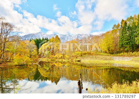 Autumn leaves at Tenike Pond in Akiyamago, Sakae Village, Nagano Prefecture Autumn leaves at Tenike Pond in Akiyamago, Sakae Village, Nagano Prefecture 131789297