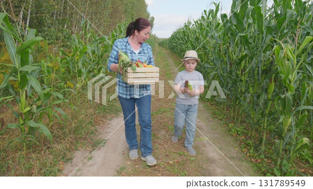 On a bright and sunny day, we embark on an exciting adventure of harvesting fresh vegetables 131789549