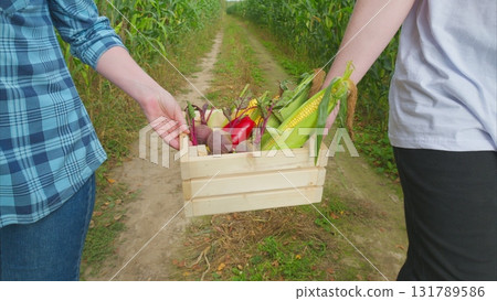 Collecting Fresh, Delicious Vegetables in a Beautifully Scenic Field Surrounded by Nature 131789586