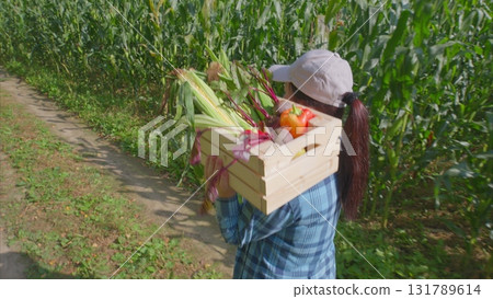 Harvesting Fresh and Healthy Vegetables in a Lush Green Field During the Daylight Hours 131789614