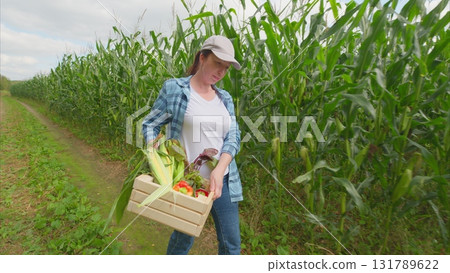 Enjoying the Thrill of Harvesting Fresh Vegetables Right in a Lush Cornfield Environment Enjoying the Thrill of Harvesting Fresh Vegetables Right in a Lush Cornfield Environment 131789622