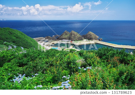 Cape Tappi in summer: Stairs with hydrangeas in full bloom, overlooking Obishima Island from National Route 339 Cape Tappi in summer: Stairs with hydrangeas in full bloom, overlooking Obishima Island from National Route 339 131789623