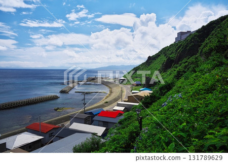 Cape Tappi in summer - view from the stairs of National Route 339 Cape Tappi in summer - view from the stairs of National Route 339 131789629