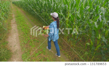 A young gardener is enthusiastically harvesting fresh produce from a lush cornfield A young gardener is enthusiastically harvesting fresh produce from a lush cornfield 131789653