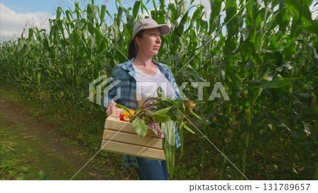 A Woman Joyfully Harvesting Fresh Produce in a Lush Cornfield, Surrounded by Nature A Woman Joyfully Harvesting Fresh Produce in a Lush Cornfield, Surrounded by Nature 131789657