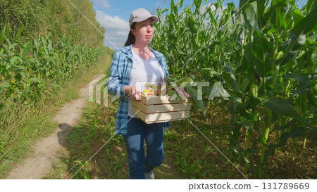 A woman joyfully harvesting fresh vegetables in a lush cornfield under the bright sun A woman joyfully harvesting fresh vegetables in a lush cornfield under the bright sun 131789669