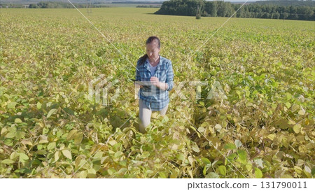 Conducting a Detailed Agricultural Inspection in a soybeans field During the Busy Harvest Season 131790011