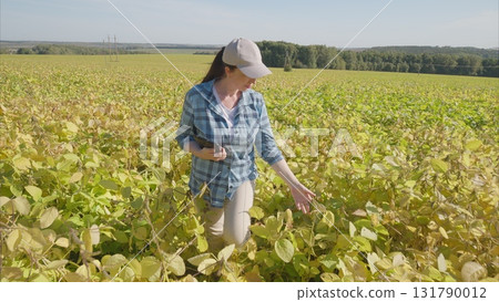A woman in a green soybeans field assesses crops with a device, gathering key data to enhance growth A woman in a green soybeans field assesses crops with a device, gathering key data to enhance growth 131790012