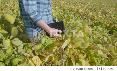 Engaging in the Exploration of Nature with Technology within Agricultural soybeans Fields and Beyond 131790060