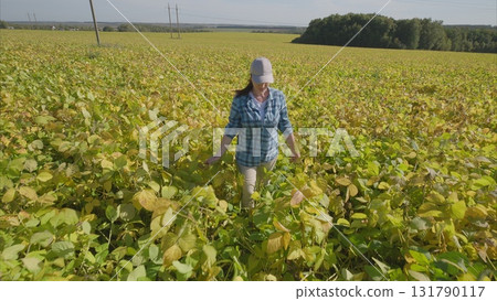 A Woman in a Vibrant soybeans Field of Lush Greens During Bright Daylight Surrounded by Nature 131790117