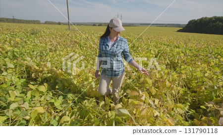 A Woman Engaged in Working Amidst the Expansive soybeans Field of Lush Green and Bright Yellow Plants 131790118
