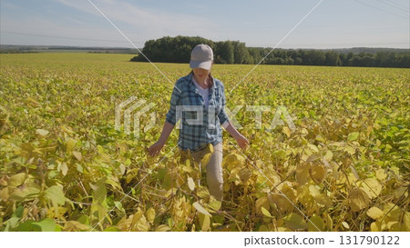 A woman works hard in an agricultural soybeans field during harvest season, highlighting natures beauty A woman works hard in an agricultural soybeans field during harvest season, highlighting natures beauty 131790122