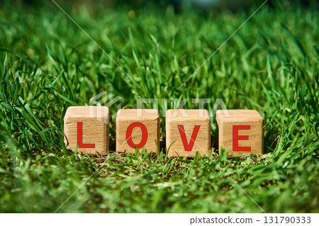 Wooden cube blocks with multicolor LOVE text on fresh green grass Wooden cube blocks with multicolor LOVE text on fresh green grass 131790333