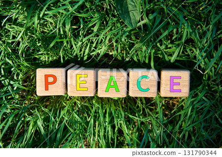 Top view of wooden cubes with multicolor PEACE text on fresh green grass Top view of wooden cubes with multicolor PEACE text on fresh green grass 131790344