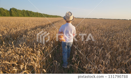 A Child Enjoying a Carefree Walk Through a Beautiful Wheat Field During a Gorgeous Sunset A Child Enjoying a Carefree Walk Through a Beautiful Wheat Field During a Gorgeous Sunset 131790788