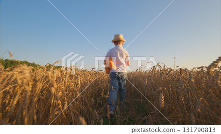 A young child joyfully walking through a beautiful wheat field during a stunning sunset 131790813