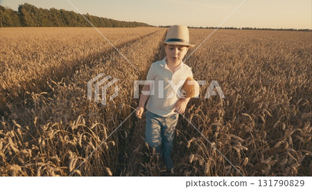 A child joyfully playing in a wheat field at sunset while carrying a toy bear with them 131790829