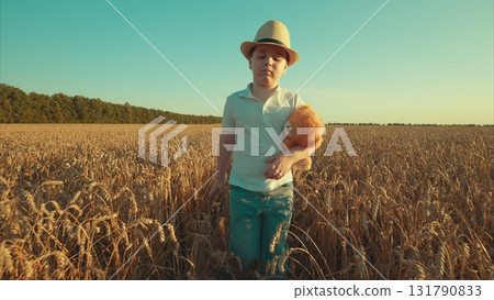 A delightful child happily playing in a vast wheat field while holding a plush toy 131790833