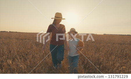 A Joyful Walk in a Stunning Golden Wheat Field at Sunset with a Loving Mother and Child A Joyful Walk in a Stunning Golden Wheat Field at Sunset with a Loving Mother and Child 131791229