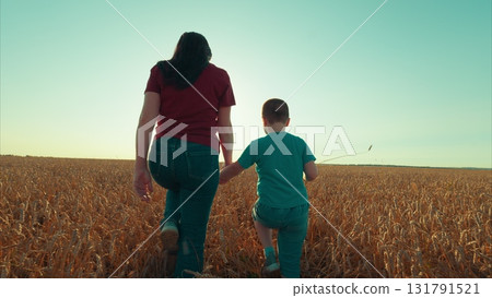 Joyful Moments in a Vast Golden Field Under the Beautiful Sunset During a Sunny Day 131791521