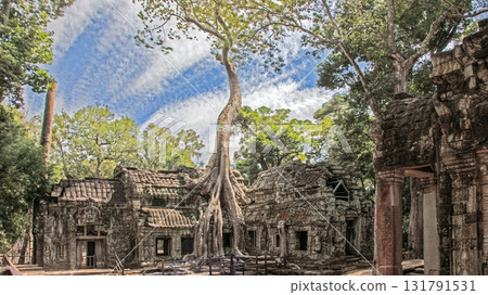 Ta Prohm temple tree embracing ancient ruins Angkor Cambodia Ta Prohm temple tree embracing ancient ruins Angkor Cambodia 131791531