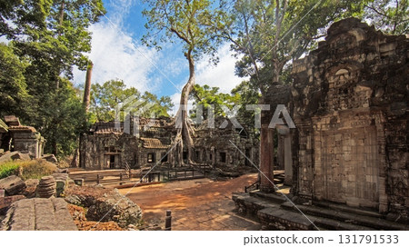 Ta Prohm temple ruins with giant tree roots in Angkor Cambodia Ta Prohm temple ruins with giant tree roots in Angkor Cambodia 131791533