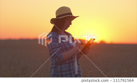 A Woman Using a Tablet in the Beautiful Sunset Over a Serene Agricultural Field Landscape 131791564