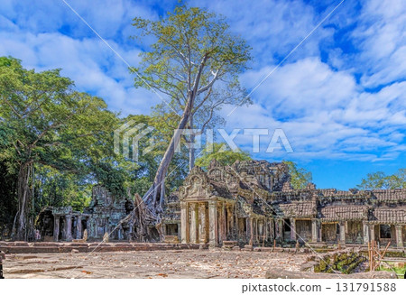 Ancient ruins of Ta Prohm temple with giant trees Cambodia Ancient ruins of Ta Prohm temple with giant trees Cambodia 131791588