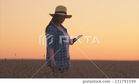A Woman Using Her Smartphone While Enjoying the Beautiful Sunset in a Serene Field A Woman Using Her Smartphone While Enjoying the Beautiful Sunset in a Serene Field 131791599