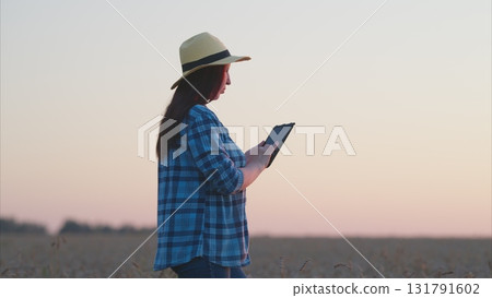 A woman is using a tablet while enjoying the beautiful sunset in a tranquil field environment 131791602