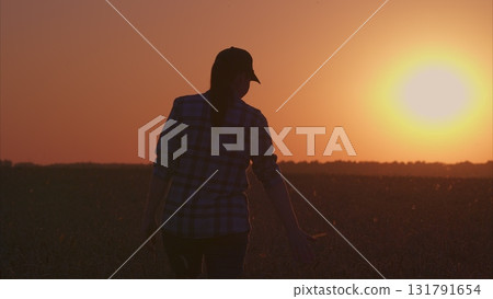 The Beautiful Sunset Silhouette in Open Fields Offers a Moment of Tranquility and Peace The Beautiful Sunset Silhouette in Open Fields Offers a Moment of Tranquility and Peace 131791654