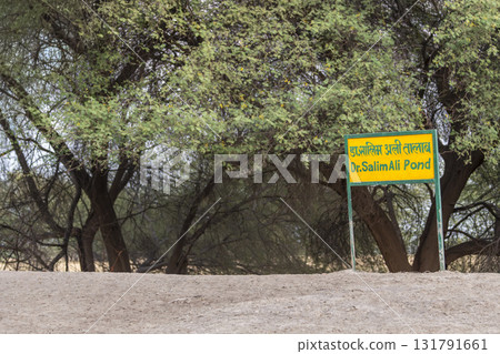 tal chhapar sanctuary, rajasthan, india, 5 Oct 2025 - signboard billboard placard in memory of Indian ornithologist and naturalist birdman of india doctor salim ali water pond for wild animals birds tal chhapar sanctuary, rajasthan, india, 5 Oct 2025 - signboard billboard placard in memory of Indian ornithologist and naturalist birdman of india doctor salim ali water pond for wild animals birds 131791661