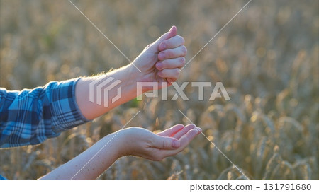 Natures Gesture Capturing the Beautiful Essence of Growth, Nurture, and Care in Life Natures Gesture Capturing the Beautiful Essence of Growth, Nurture, and Care in Life 131791680