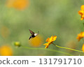 Powered by Translate 131791710