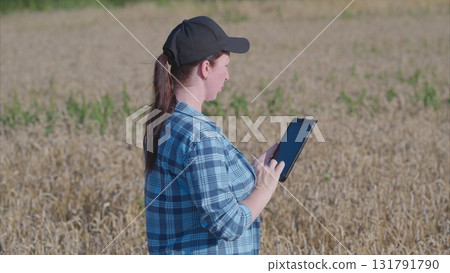 A farmer uses a tablet in a wheat field to boost productivity and enhance efficiency A farmer uses a tablet in a wheat field to boost productivity and enhance efficiency 131791790