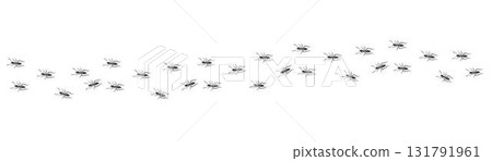 Ant trail. Walking group of black insects. Line of worker ants marching in search of food. Curve footpath of home pest isolated on transparent background. Vector Ant trail. Walking group of black insects. Line of worker ants marching in search of food. Curve footpath of home pest isolated on transparent background. Vector 131791961