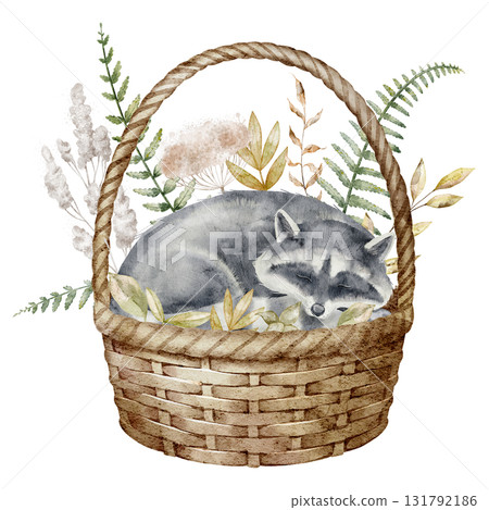 Watercolor illustration of sleeping Raccoon in basket with forest leaves. Drawing with woodland cute animal for autumn nursery posters or baby shower invitations or greeting cards. 131792186