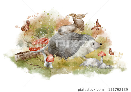 Watercolor Hedgehog among mushrooms, butterflies, and forest plants. Illustration of woodland animal for seasonal childish greeting cards or baby invitations. Art of scene with autumn plants. Watercolor Hedgehog among mushrooms, butterflies, and forest plants. Illustration of woodland animal for seasonal childish greeting cards or baby invitations. Art of scene with autumn plants. 131792189