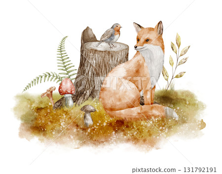 Watercolor Fox sitting by a tree Stump with bird, mushrooms, and autumn plants. Illustration of woodland animals with fall leaves for nursery posters. Drawing of forest scene for baby shower cards. Watercolor Fox sitting by a tree Stump with bird, mushrooms, and autumn plants. Illustration of woodland animals with fall leaves for nursery posters. Drawing of forest scene for baby shower cards. 131792191