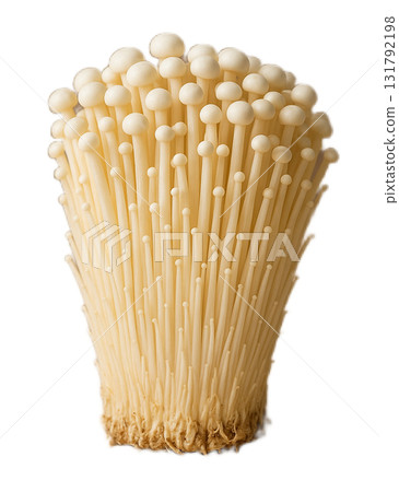 Enoki mushroom 131792198