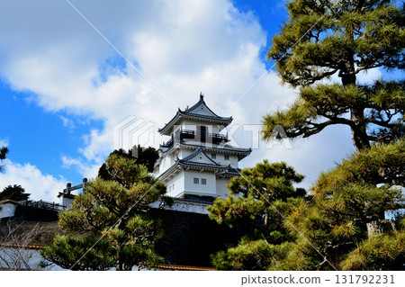 Looking up at Kakegawa Castle tower 131792231