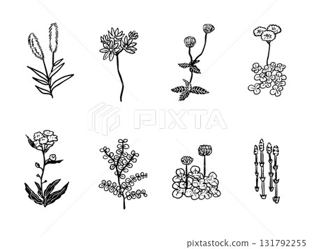 簡單的手繪風格，花卉素材集，野花 131792255