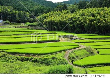 Scenery with rice terraces Scenery with rice terraces 131792910